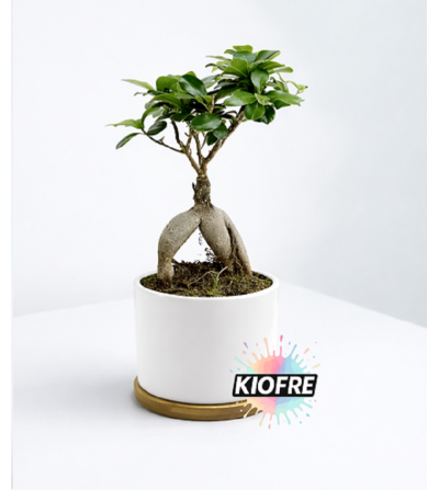"RUPTURE" Pot plante pour sublimation – Céramique & Bambou personnalisable
