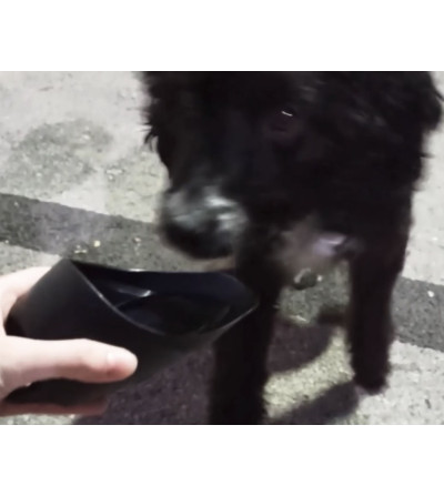 Gourde Abreuvoir pour Animaux en Aluminium – Blanche Sublimation – 750 ml