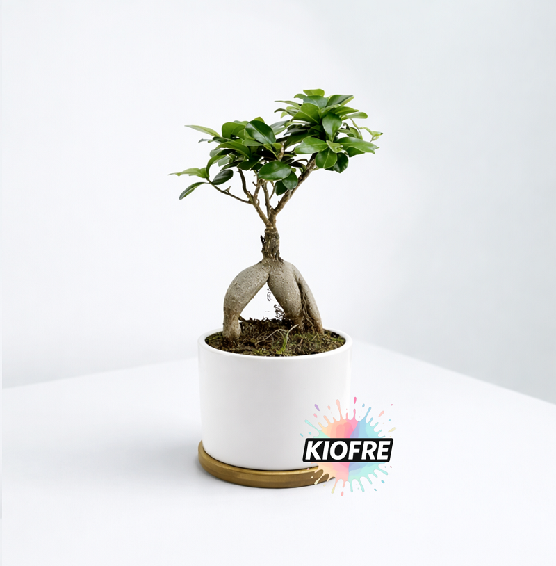 Pot plante pour sublimation – Céramique & Bambou personnalisable